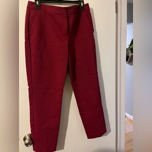 Express Dress Pants